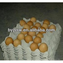 Material de embalagem da bandeja de ovo